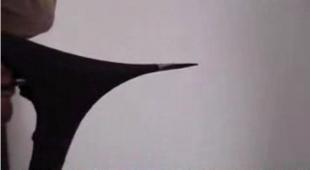 建筑建材領(lǐng)域技術(shù)轉(zhuǎn)讓與開發(fā) 引氣劑、外墻彈性膩子粉、水泥脫模劑應(yīng)用前景